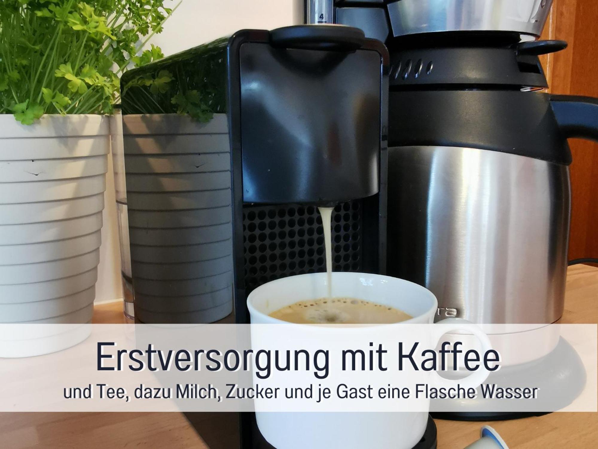 Ferienhaus Schwaab-Scherr, Genau Zwischen Bernkastel-Kues Und Traben-Trarbach, Mit Kostenlosem Oepnv-Ticket Fuer Bus Und Bahn, Parkplaetzen Und Fahrradgarage 에르덴 외부 사진