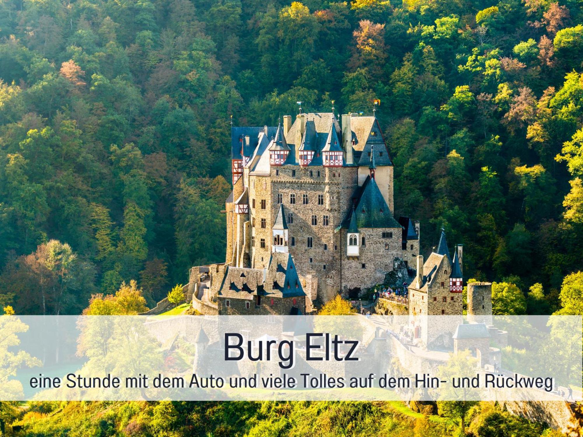 Ferienhaus Schwaab-Scherr, Genau Zwischen Bernkastel-Kues Und Traben-Trarbach, Mit Kostenlosem Oepnv-Ticket Fuer Bus Und Bahn, Parkplaetzen Und Fahrradgarage 에르덴 외부 사진