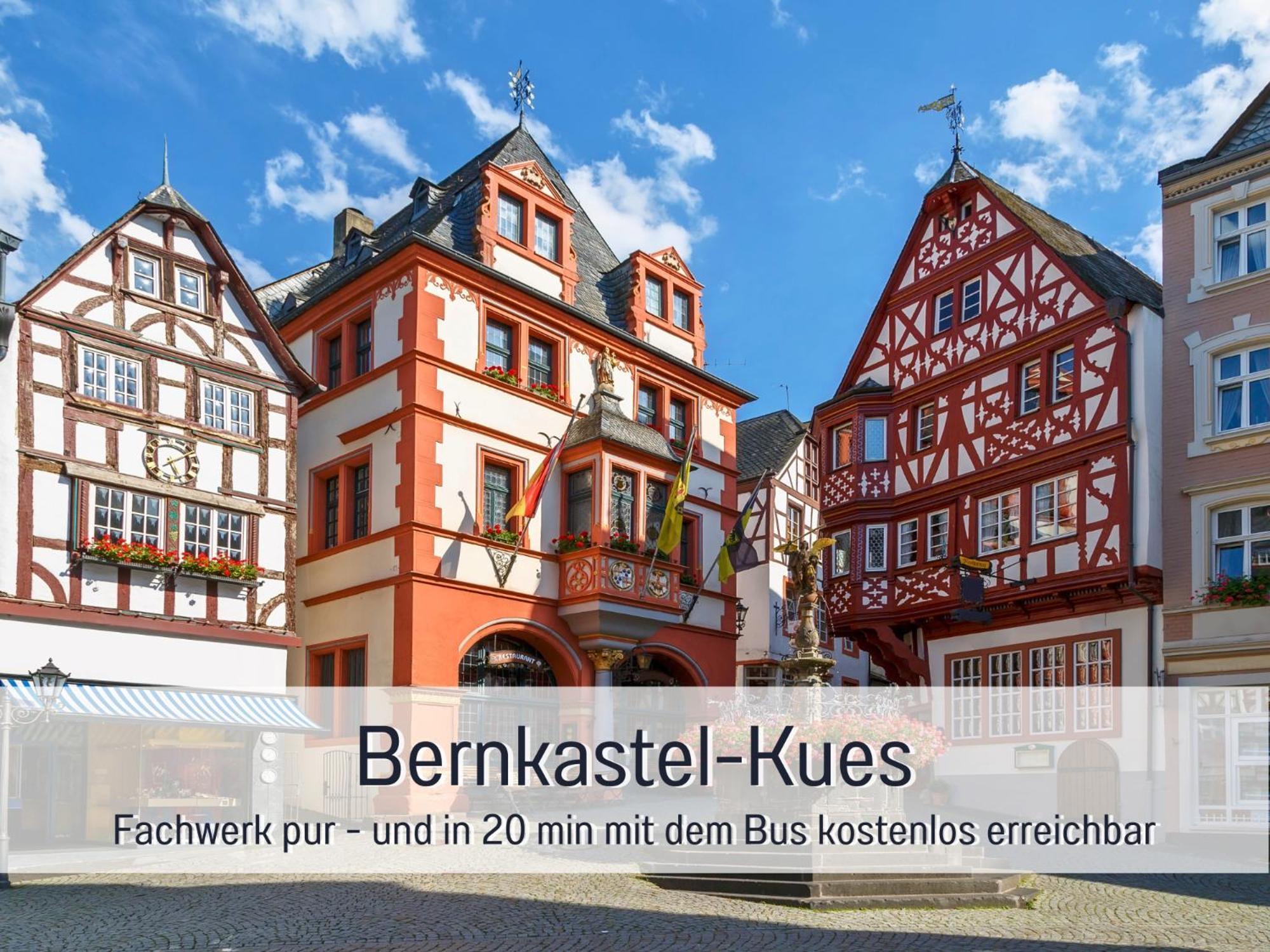 Ferienhaus Schwaab-Scherr, Genau Zwischen Bernkastel-Kues Und Traben-Trarbach, Mit Kostenlosem Oepnv-Ticket Fuer Bus Und Bahn, Parkplaetzen Und Fahrradgarage 에르덴 외부 사진