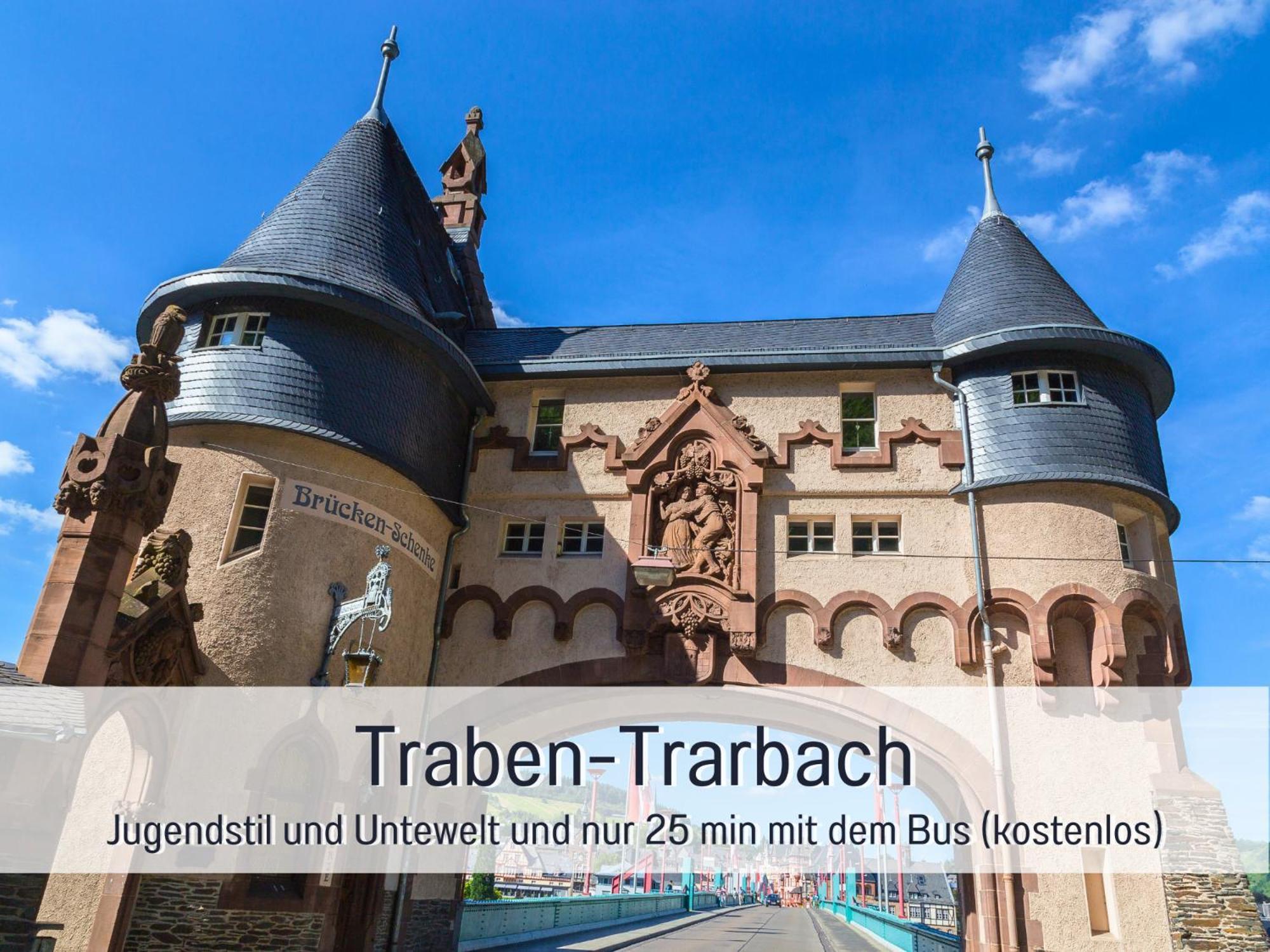 Ferienhaus Schwaab-Scherr, Genau Zwischen Bernkastel-Kues Und Traben-Trarbach, Mit Kostenlosem Oepnv-Ticket Fuer Bus Und Bahn, Parkplaetzen Und Fahrradgarage 에르덴 외부 사진