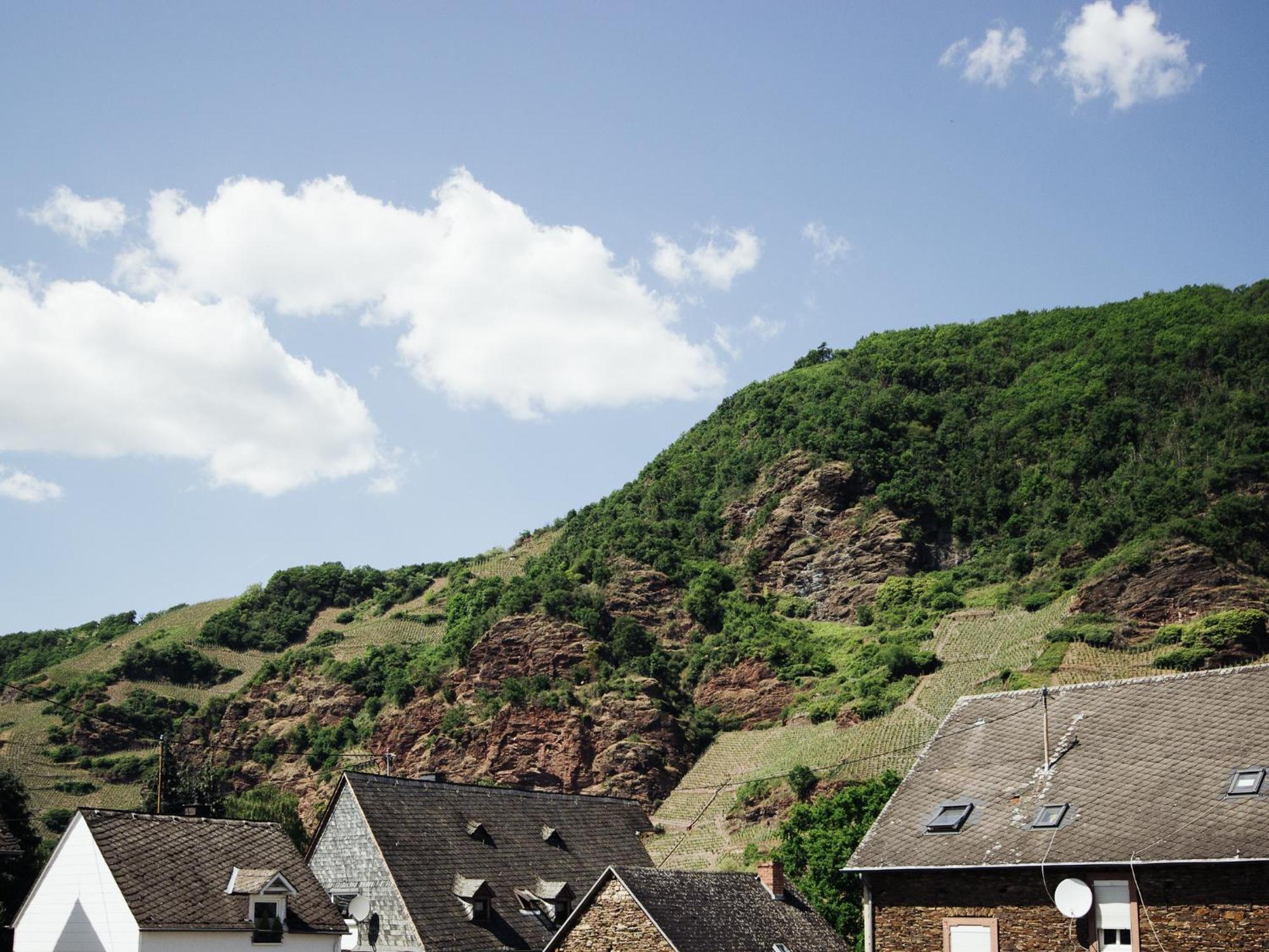 Ferienhaus Schwaab-Scherr, Genau Zwischen Bernkastel-Kues Und Traben-Trarbach, Mit Kostenlosem Oepnv-Ticket Fuer Bus Und Bahn, Parkplaetzen Und Fahrradgarage 에르덴 외부 사진